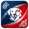 Pets & Animals
